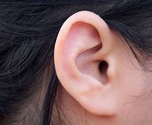 ear trumpet